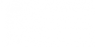 Regulación de plataformas digitales en Europa: un libro blanco