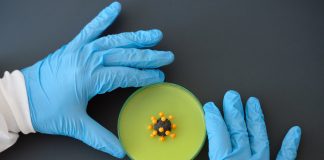 Sudáfrica en llamas: entradas finales en el Consejo de los ADPIC de la OMC (10 de diciembre de 2020)