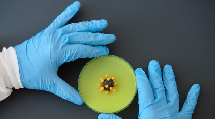 Carta al ministro de Salud y de Relaciones Exteriores de Uruguay sobre petición en la OPS