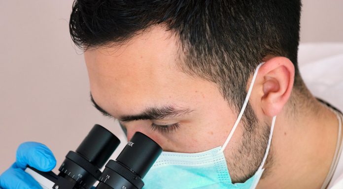 Carta al ministro de Salud y de Relaciones Exteriores de Ecuador sobre petición en la OPS