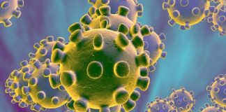 Carta al Director General de la Organización Mundial de la Propiedad Intelectual