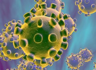 Carta al Director General de la Organización Mundial de la Propiedad Intelectual