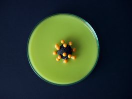 Los activistas de acceso critican el vacilante esfuerzo de la OMS para compartir la propiedad intelectual de los medicamentos contra el coronavirus