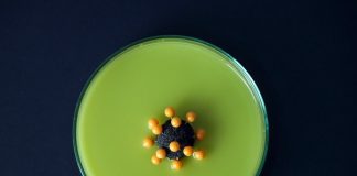 Los activistas de acceso critican el vacilante esfuerzo de la OMS para compartir la propiedad intelectual de los medicamentos contra el coronavirus