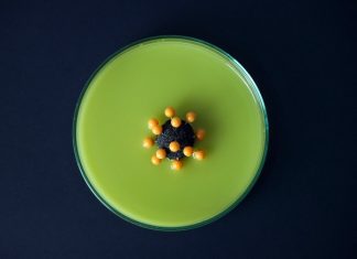 Los activistas de acceso critican el vacilante esfuerzo de la OMS para compartir la propiedad intelectual de los medicamentos contra el coronavirus