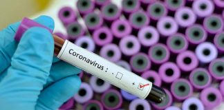 Carta a la OMS sobre el Observatorio de I + D