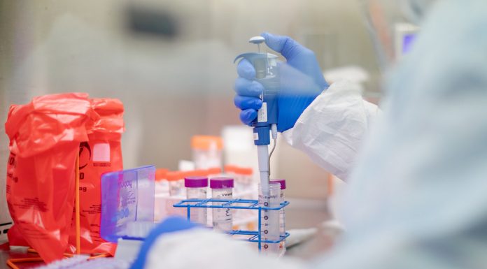 Sudáfrica e India instan a la OMC a renunciar a los derechos de propiedad intelectual y ampliar el acceso a los medicamentos y vacunas Covid-19