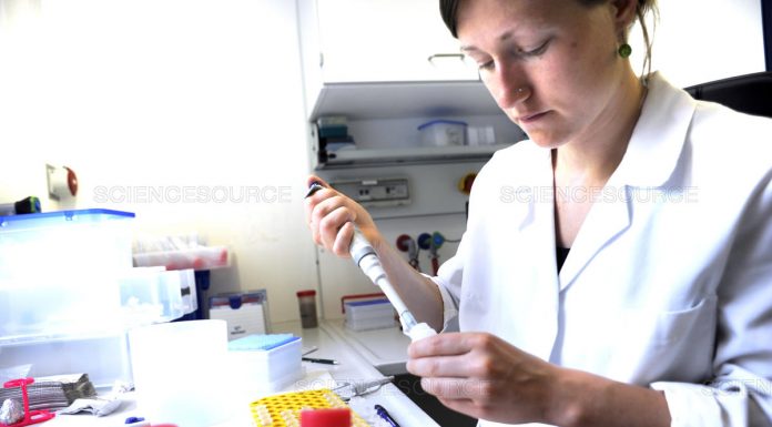 Cómo la vacuna “Oxford” Covid-19 se convirtió en la vacuna “AstraZeneca” Covid-19