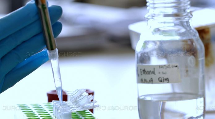 Consejo de los ADPIC de la OMC: India y Sudáfrica presentan un proyecto de texto de decisión sobre una exención de ciertas disposiciones del Acuerdo sobre los ADPIC para la prevención, contención y tratamiento de COVID-19