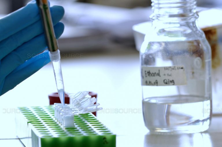 Consejo de los ADPIC de la OMC: India y Sudáfrica presentan un proyecto de texto de decisión sobre una exención de ciertas disposiciones del Acuerdo sobre los ADPIC para la prevención, contención y tratamiento de COVID-19