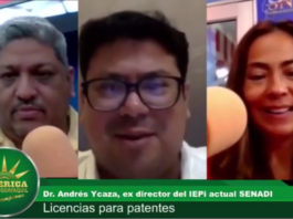 Entrevistas al Dr. Andrés Ycaza Mantilla (ex director del SENADI de Ecuador) sobre las licencias y acceso a las vacunas para el Covid-19
