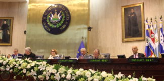 Asamblea Parlamentaria Euro-Latinoamericana presentan declaración  sobre “Una cooperación reforzada UE-ALC para distribución equitativa y solidaria de las vacunas contra el COVID-19”