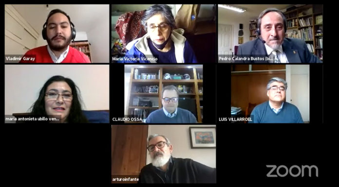 Director de Corporación Innovarte participó en webinar del Colegio de Bibliotecarios de Chile