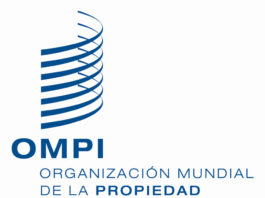 Innovarte realiza intervención en SCCR 41 de la OMPI en relación a C- tap