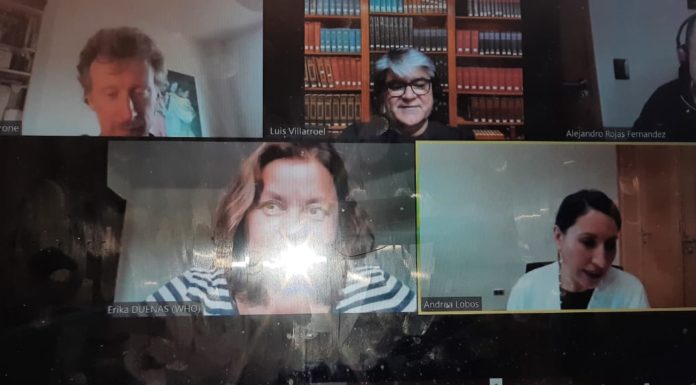 Innovarte coordina reunión entre la Universidad Austral de Chile y el C- TAP de la OMS