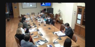 Director de ONG Innovarte expuso en sesión de la Comisión de Salud de la Cámara de Diputados