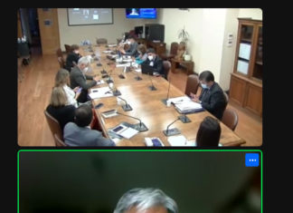 Director de ONG Innovarte expuso en sesión de la Comisión de Salud de la Cámara de Diputados