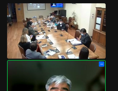 Director de ONG Innovarte expuso en sesión de la Comisión de Salud de la Cámara de Diputados