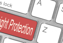 Columna de opinión “Derechos de autor y la nueva Constitución: no echemos pelos en la leche” de Luis Villarroel, director de Corporación Innovarte.