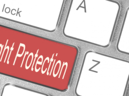 Columna de opinión “Derechos de autor y la nueva Constitución: no echemos pelos en la leche” de Luis Villarroel, director de Corporación Innovarte.