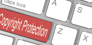 Columna de opinión “Derechos de autor y la nueva Constitución: no echemos pelos en la leche” de Luis Villarroel, director de Corporación Innovarte.