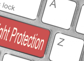 Columna de opinión “Derechos de autor y la nueva Constitución: no echemos pelos en la leche” de Luis Villarroel, director de Corporación Innovarte.