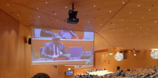 Corporación Innovarte participa en la Sesión 42 del SCCR de la OMPI