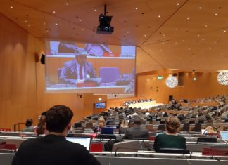 Corporación Innovarte participa en la Sesión 42 del SCCR de la OMPI