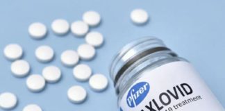 Corporación Innovarte junto a organizaciones de la Sociedad civil solicitan el Uso Gubernamental de Paxlovid para tratar el COVID 19 en Perú