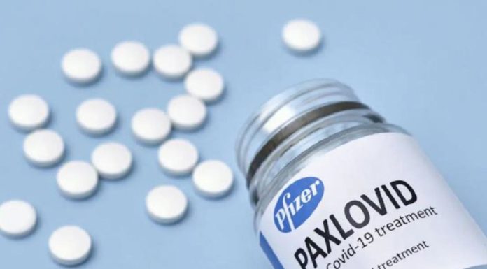 Corporación Innovarte junto a organizaciones de la Sociedad civil solicitan el Uso Gubernamental de Paxlovid para tratar el COVID 19 en Perú