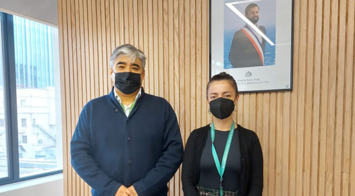 ONG Innovarte se reúne con Subsecretaria de Ciencia, Tecnología, Conocimiento e Innovación de Chile.