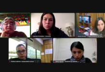 INNOVARTE ONG se reunió con Subsecretaria de las Culturas y las Artes de Chile