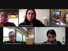 INNOVARTE ONG se reunió con Subsecretaria de las Culturas y las Artes de Chile