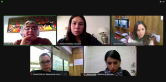 INNOVARTE ONG se reunió con Subsecretaria de las Culturas y las Artes de Chile