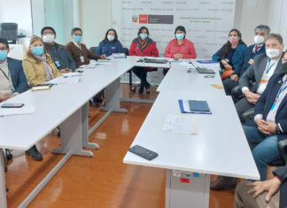 INNOVARTE ONG se reúne con la Dirección General de Medicamentos, Insumos y Drogas de Perú.