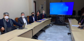 INNOVARTE ONG se reúne con el Instituto de Salud de Perú