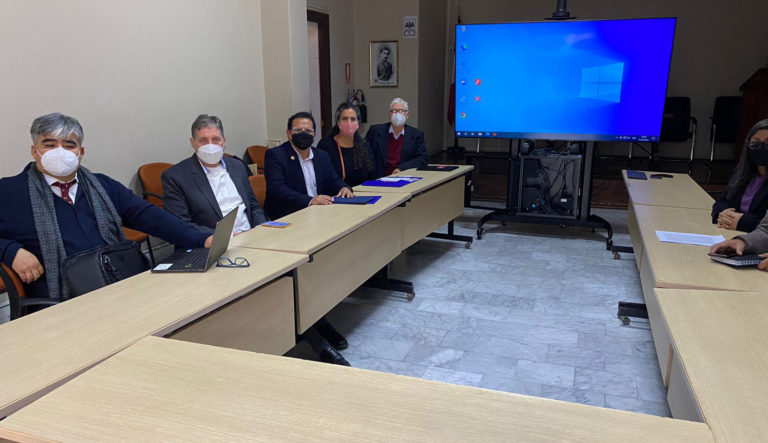 INNOVARTE ONG se reúne con el Instituto de Salud de Perú