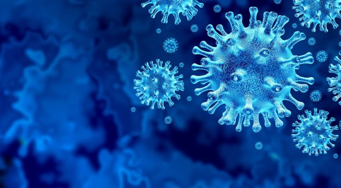 Siete recomendaciones para compartir la propiedad intelectual, los conocimientos técnicos y la tecnología: informe del Grupo Mundial de Expertos respecto al Tratado sobre Pandemias publicado por BMJ Global Health.