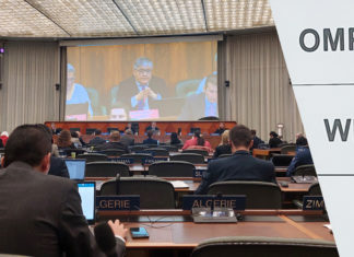 INNOVARTE ONG llama la atención en el comité de patente de la OMPI con relación a la necesidad de otorgar a los jueces discrecionalidad al momento de fallar prohibiciones con relación al uso de patentes para evitar que se detengan procesos de investigación o producción de tecnologías de salud.