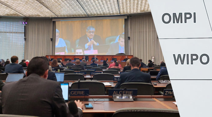 Desafíos y Avances en las Discusiones sobre Limitaciones y Excepciones en la SCCR/44 de la OMPI