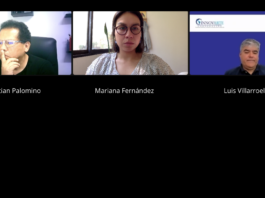 NGO INNOVARTE meets with Director of the Executive Office of Technology Transfer and Training of the National Institute of Health of Peru