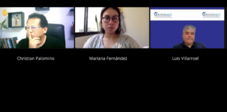 INNOVARTE ONG se reúne con Director de Oficina Ejecutiva de Transferencia Tecnológica y Capacitación del Instituto Nacional de Salud de Perú