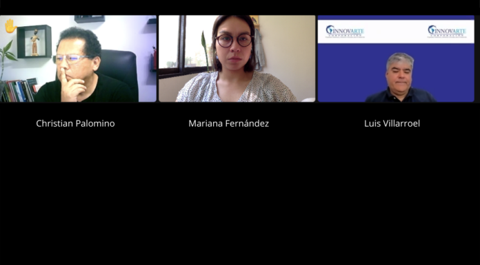 INNOVARTE ONG se reúne con Director de Oficina Ejecutiva de Transferencia Tecnológica y Capacitación del Instituto Nacional de Salud de Perú