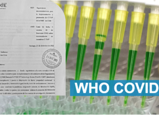 INNOVARTE ONG envía carta a Ministerios de Salud de Chile y Uruguay