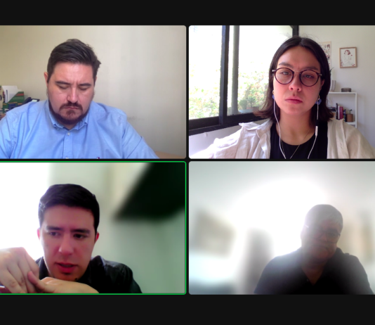 NGO INNOVARTE MEETS WITH THE UNDERSECRETARIAT OF PUBLIC HEALTH