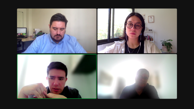 NGO INNOVARTE MEETS WITH THE UNDERSECRETARIAT OF PUBLIC HEALTH