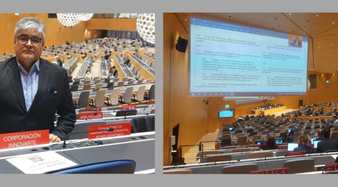 CARTA A DIVISIÓN DE PROPIEDAD INTELECTUAL DE LA SUBSECRETARÍA DE RELACIONES ECONÓMICAS INTERNACIONALES