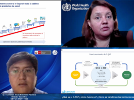 NATIONAL INSTITUTE OF HEALTH OF PERU AND WHO, IN COLLABORATION WITH NGO INNOVARTE, ORGANIZE SEMINAR ON C-TAP