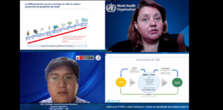 NATIONAL INSTITUTE OF HEALTH OF PERU AND WHO, IN COLLABORATION WITH NGO INNOVARTE, ORGANIZE SEMINAR ON C-TAP