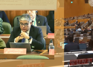 TERMINA ENCUENTRO DE COMITÉ PERMANENTE SOBRE DERECHOS DE AUTOR DE LA OMPI